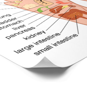 Affiche Réflexologie du pied 12x10 pouces