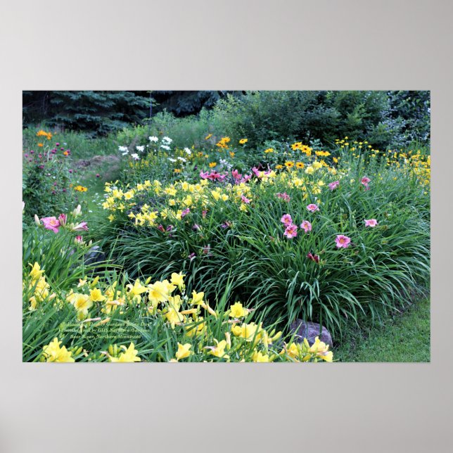 Affiche Refloroming Daylily Gardens Rainy Day (Devant)