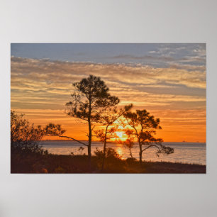 Affiche Refuge de l'île Dauphin lever de soleil, Alabama