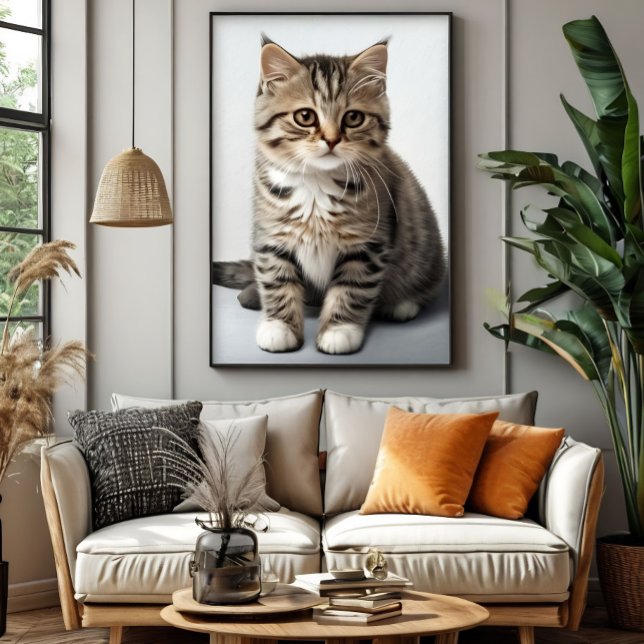 Affiche Regard de chat perdu dans le temps (Créateur téléchargé)