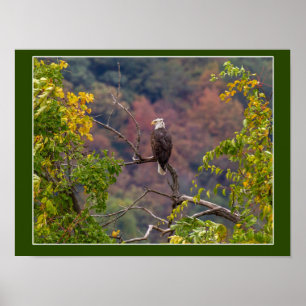 Affiche Regardant l'automne