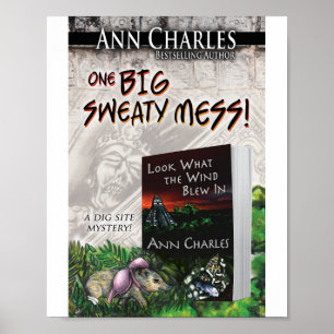 Affiche Regardez ce que le vent a fait dans l'affiche d'An