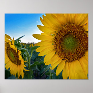 Affiche Regardez de plus près