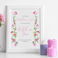 Regardez-moi Grow Fleur sauvage Baby shower semenc
