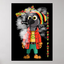 Reggae perroquet gris africain