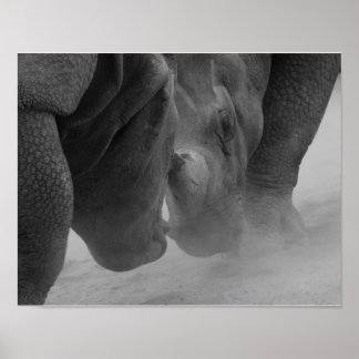 Affiche Réglage des rhinocéros
