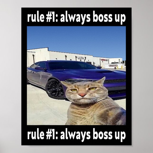 Affiche Règle # 1 Toujours Boss Up Funny Cat Meme (Devant)