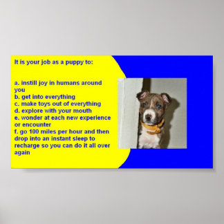 AFFICHE RÈGLES DE PUPPY