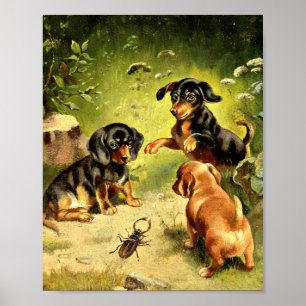 Affiche Reichert - Chiots Dachshund en jeu