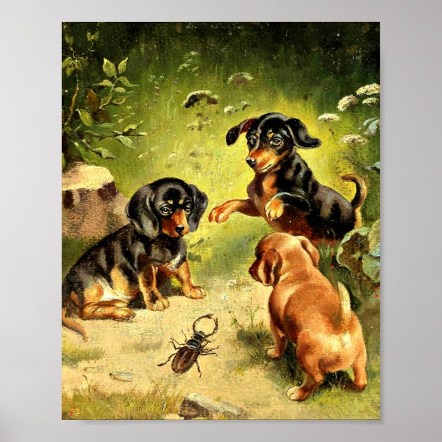 Affiche Reichert - Chiots Dachshund en jeu (Devant)