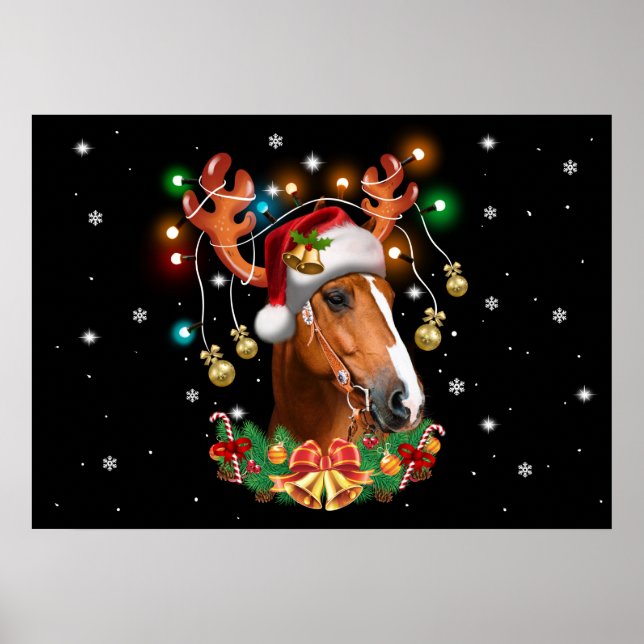 Affiche Reindeer (Devant)