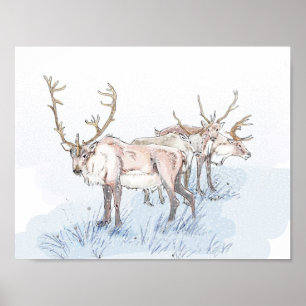 Affiche Reindeer dans l'impression neige