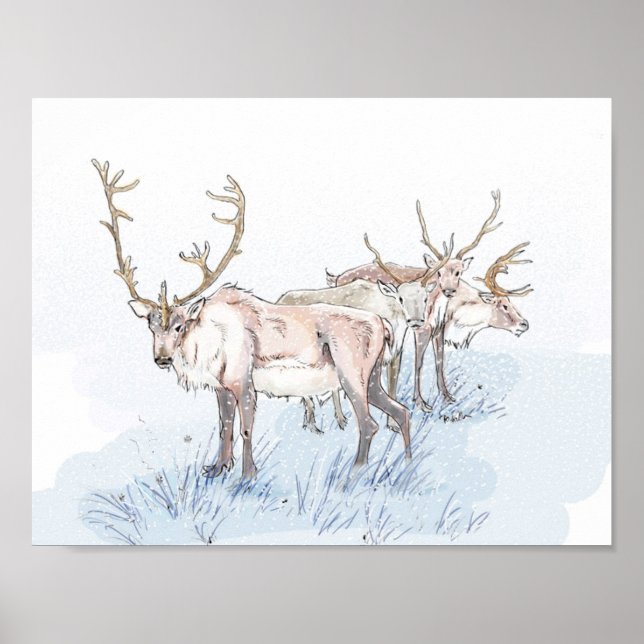 Affiche Reindeer dans l'impression neige (Devant)