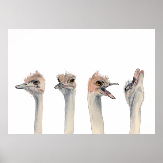 Affiche Reine du théâtre | Drôle Ostrich Aquarelle Peintur