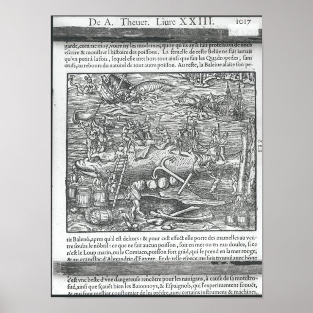 Affiche Rejoindre une baleine (Devant)