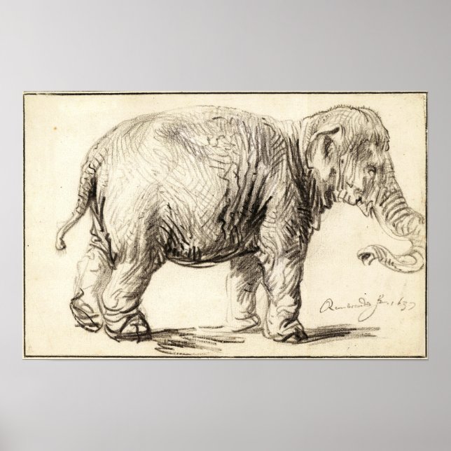 Affiche Rembrandt - Elephant 1637 (Devant)