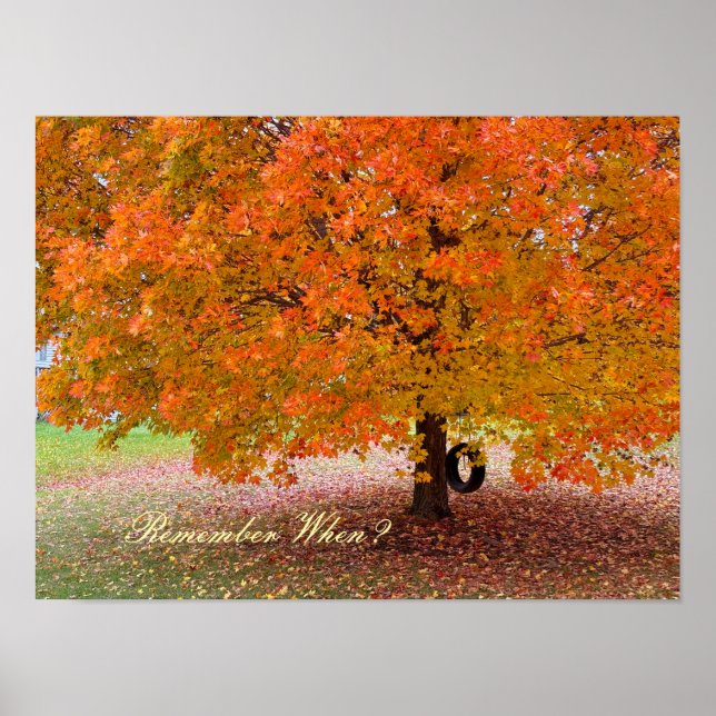 Affiche Remember When? (Devant)