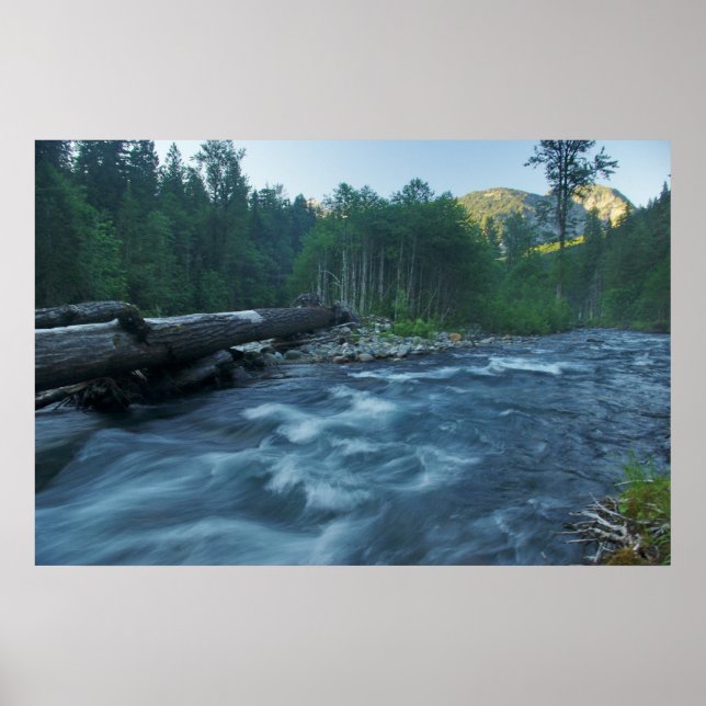 Affiche Remontée de flux (Devant)