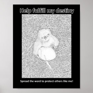 AFFICHE REMPLIR MON DESTINÉ SAUVER LA VIE SAUVER LA VIE SA