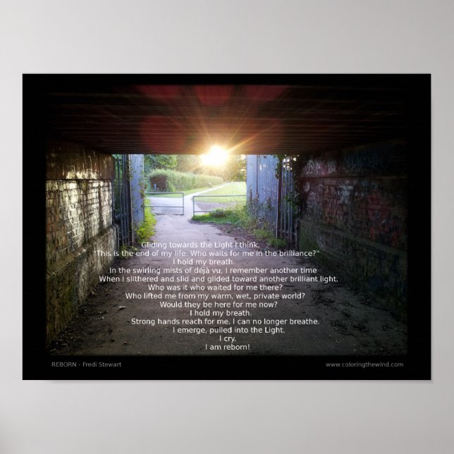 Affiche Renaissance par Fredi Stewart (Devant)