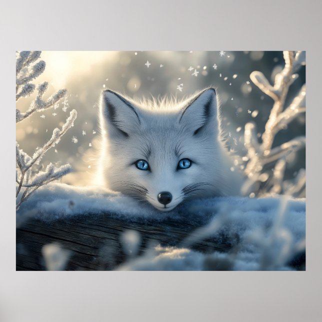 Affiche Renard arctique aux yeux bleus submergeants (Devant)