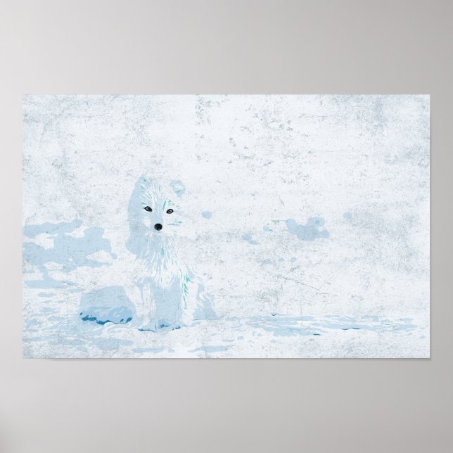 Affiche Renard arctique sur la glace blanche illustration (Devant)