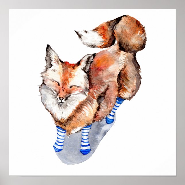 Affiche Renard en Chaussettes (Devant)