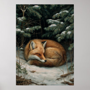 Affiche Renard endormi dans une forêt hivernale