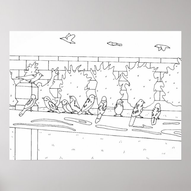 Affiche Rencontre avec les oiseaux du Bruant sur le dessin (Devant)