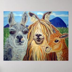 AFFICHE RENCONTRER LES LAMAS : LAMA, ALPACA, VICUNA ! ! !