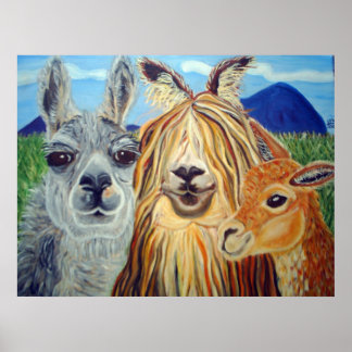 AFFICHE RENCONTRER LES LAMAS : LAMA, ALPACA, VICUNA ! ! !