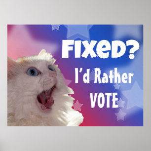 Affiche Réparé? Je préférerais voter