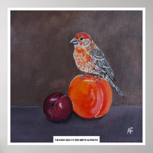 Affiche Repos de midi du roselin familier, peinture d'Alfr