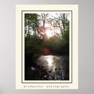 Affiche Repos Tranquille