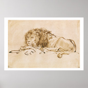 Affiche Repose de lion (stylo et encre sur papier)