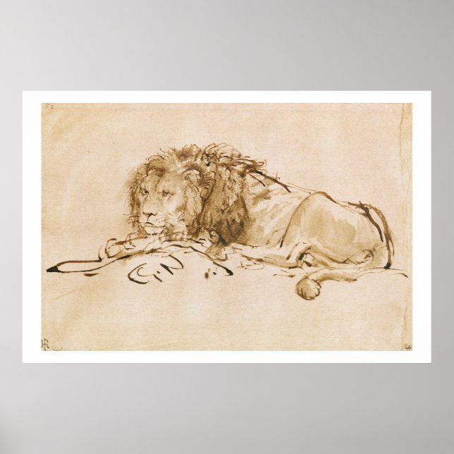 Affiche Repose de lion (stylo et encre sur papier) (Devant)