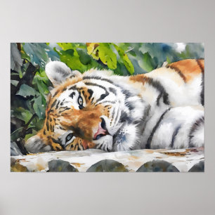 Affiche Repose du portrait de tigre