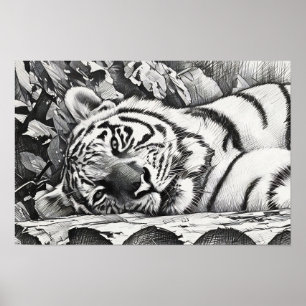 Affiche Repose du portrait de tigre