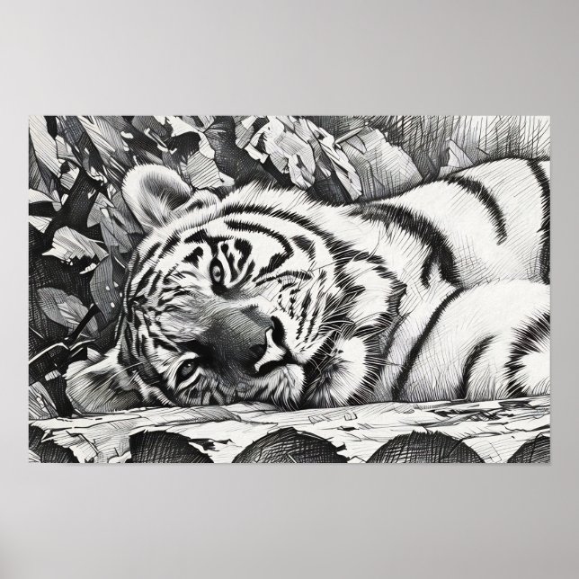 Affiche Repose du portrait de tigre (Devant)