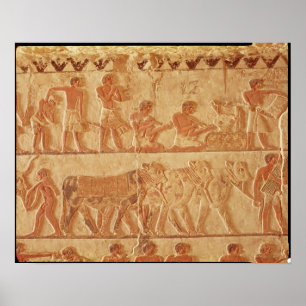 Affiche Representation peinte de soulagement