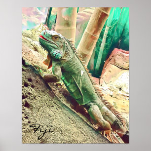 Affiche Reptile de lézard fidjien