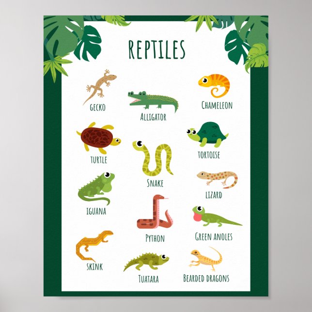Affiche Reptiles Éducation scolaire Apprentissage (Devant)