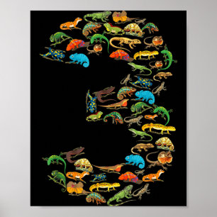 Affiche reptiles lézards 3 ans anniversaire 3ème anniversa