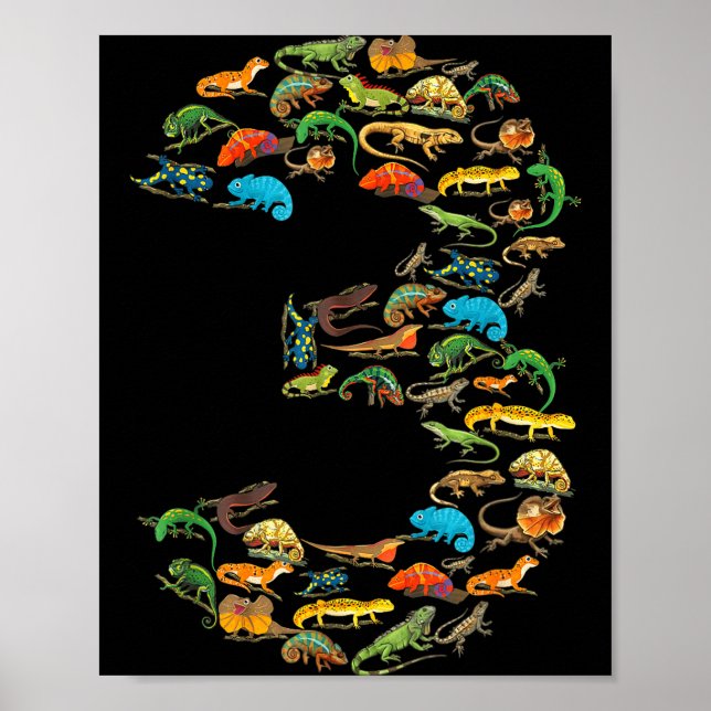 Affiche reptiles lézards 3 ans anniversaire 3ème anniversa (Devant)