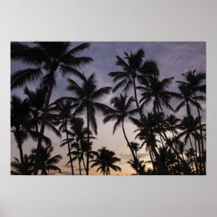 Affiche République dominicaine, péninsule de Samana, Las 2