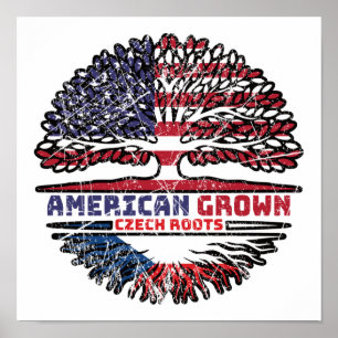 Affiche République tchèque Tchèque États-Unis États-Unis