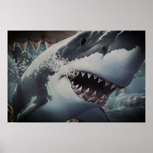 Affiche Requin (Devant)