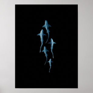Affiche Requin - Baignade Requins mignonne Drôle Cadeau