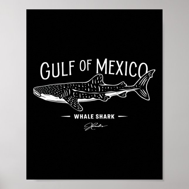 Affiche Requin Baleine Du Golfe Du Mexique (Devant)