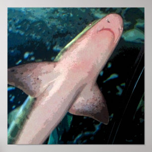 Affiche Requin CB